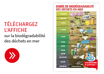 telechargez l'affiche biodegradabilité des déchets en mer